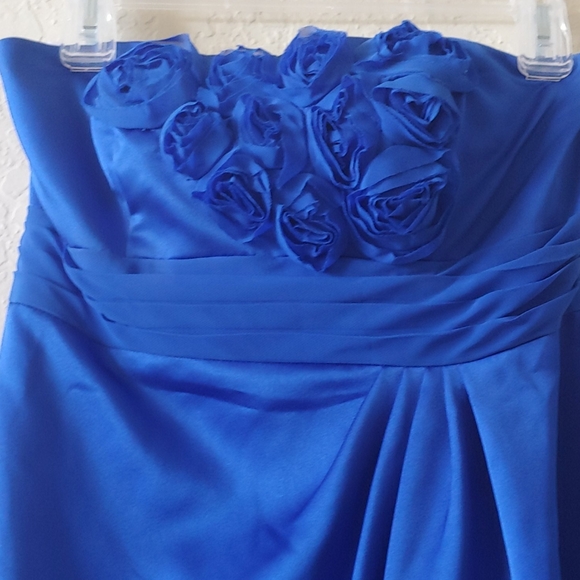 Holiday Special! Bridesmaid long dress from David's Bridal - Picture 5 of 8